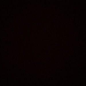 Meet your Posher, Alondra